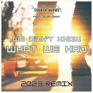 We Didn't Know What We Had [feat. Olya Gram] (2023 Remix)