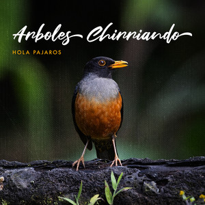 Arboles Chirriando