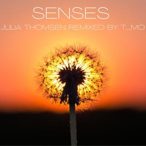 Evoke (T_Mo Remix)