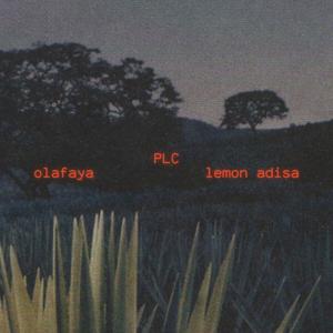 PLC (feat. Lemon Adisa)