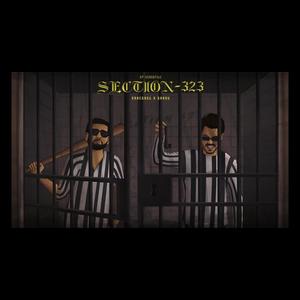 Section 323 (feat. Shahu)