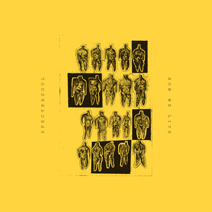 How We Live (Original Mix)