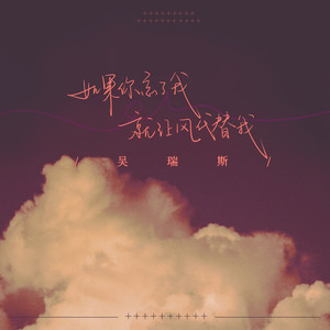 吴瑞斯 - 如果你忘了我 就让风代替我 (伴奏)