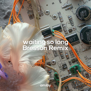 Waiting So Long (Bresson Remix)