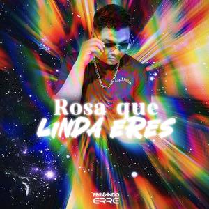 ROSA QUE LINDA ERES (Remix)