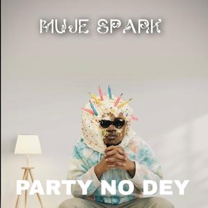 Party No Dey
