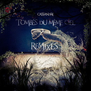 Tombés du même ciel (Remixes)