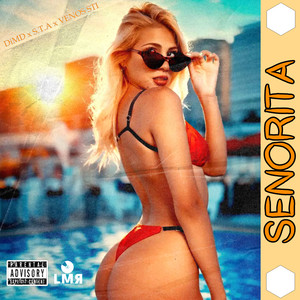 SENORITA (Explicit)