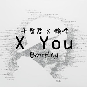 Avicii-X You (子智君 / lm懒咩 remix)