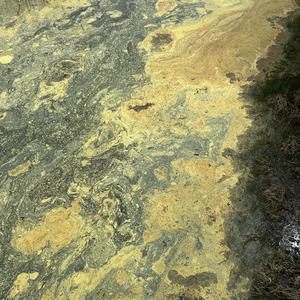 Float (feat. Marlon DuBois|Explicit)