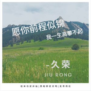 愿你前程似锦我一生高攀不起