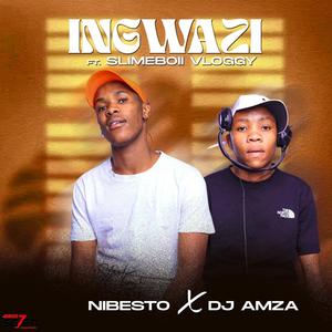 Ingwazi (feat. Slimebhoii Vloggy)