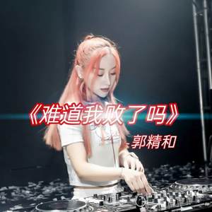 夏天的风 (DJ版)