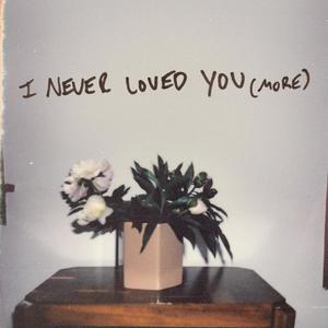 I Never Loved You (More)