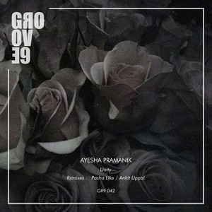 Unity (Pasha Like Remix)