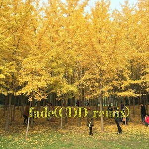 fade  (CDD remix)