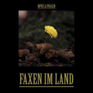 Faxen im Land