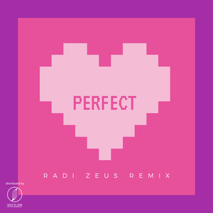 Perfect (Remix)