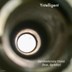 Synthetically Fluid(feat. Sp4rky)