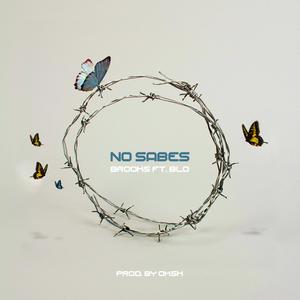 No sabes(feat. Blo)