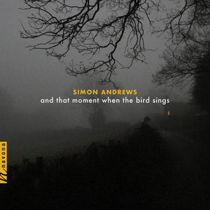 Simon Andrews: and That Moment When The Bird Sings