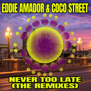Never Too Late (Ben A Remix)