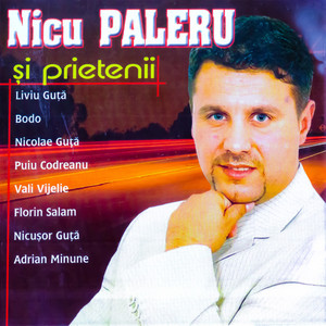 Nicu Paleru și prietenii