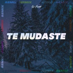 Te Mudaste - Remix