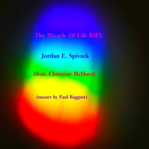 The Miracle Of Life RMX(feat. Christine McHoes & Paul Baggott) (EDM Version)