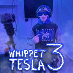 WHIPPET TESLA 3 (feat. Soapy Frog)