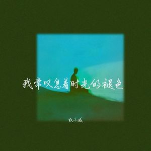 权小威 - 野马进行曲 (节奏纯享版)