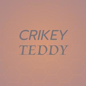 Crikey Teddy