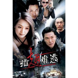 因为所以封面