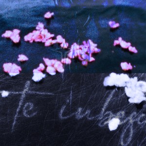 träne von dir (Explicit)