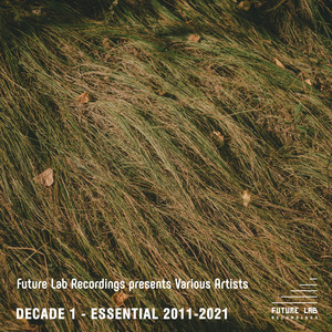 Decade 1 - Essential 2011-2021