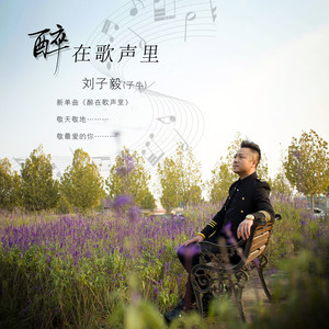 醉在歌声里