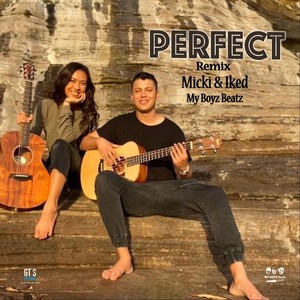 Perfect (Remix)