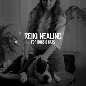  Songs for Pet Loss: Healing Melodies to Comfort Your Heart During Grief