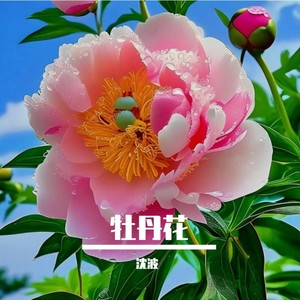 沈波 - 温柔善良