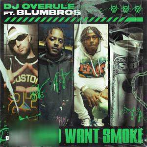 Who Want Smoke (Explicit)