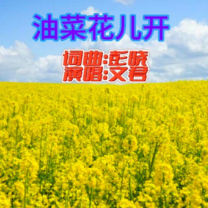 油菜花儿开