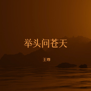 举头问苍天 (伴奏)