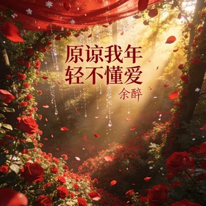 原谅我年轻不懂爱