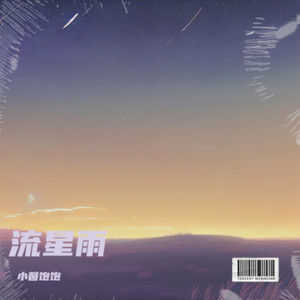 流星雨（陪你去看流星雨落在这地球上）