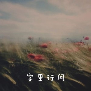 字里行间