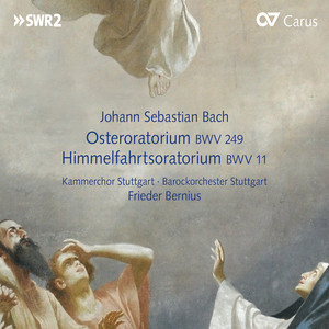 Lobet Gott In Seinen Reichen, BWV 11 - VIII. Recitativo: 
