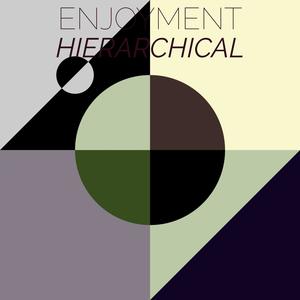 Enjoyment Hierarchical