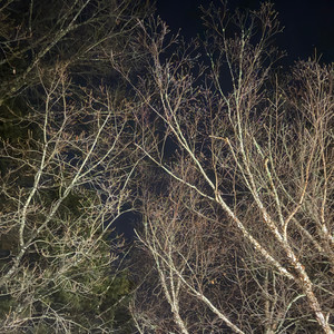 Wishful chasin (Remix)