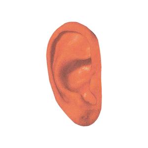 Pilot (feat. Quinfinity) (Explicit)