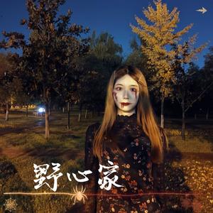 野心家-亦忱YCer